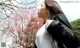 Waka Ninomiya - Wifey Free Babydollgif P10 No.da1b69 Image No. 5